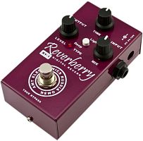 AMT Electronics RY-1 Reverberry